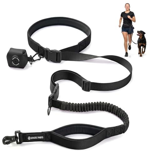 Hands Free Dog Leash (Black)