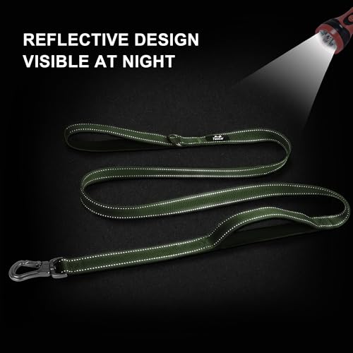 5FT 1IN Heavy Duty Dog Leash for Large Dogs with 2 Padded Handles (Green / 1 in x 5 ft)