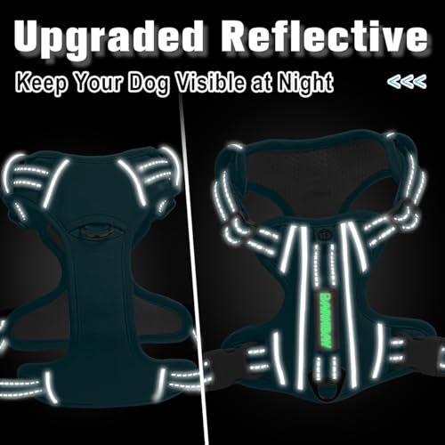 No Pull Dog Harness for Small Sized Dogs (Small(Chest:19.5-26”) / Aqua-Oxford)