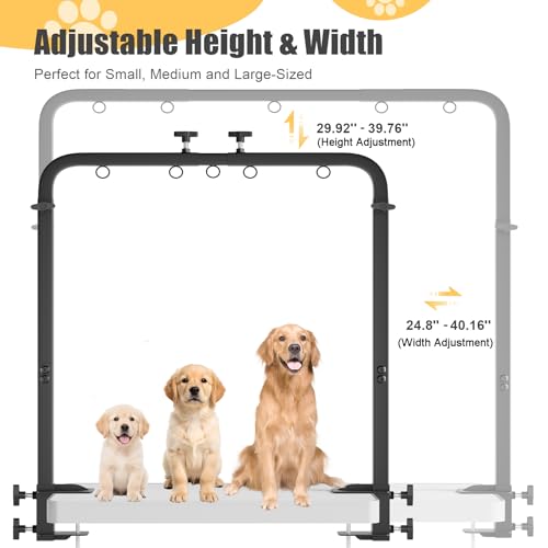 Dog Grooming Table Arm (30''-40''(H), 25''-40''(W) / Black)