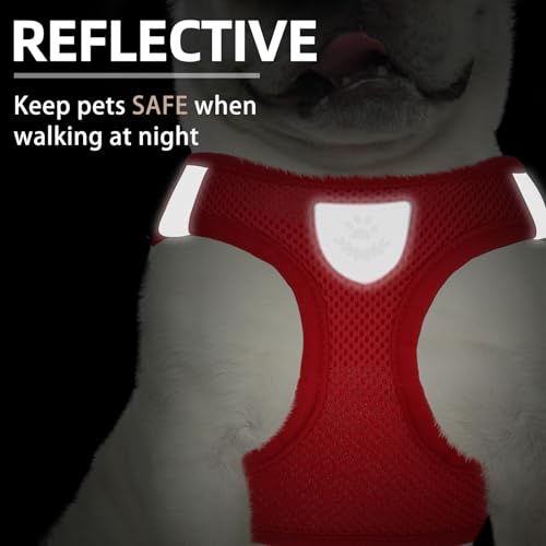 Dog Harness Collar and Leash Set No Pull for Small Medium Sized (Solid Red / S (CHEST 14.5"-16"))