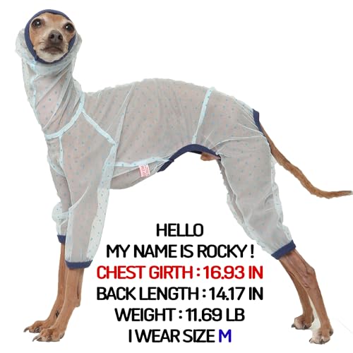 D Doggy Star Italian Greyhound Clothes Sheer Mesh Onesie Summer Jumpsuit Breathable Full Body Protection for Outdoor Walks Small Whippet Fit (M / Sheer Mesh Blue)