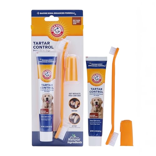 Tartar Control Dog Dental Kit (2.5 Ounce (Pack of 1))