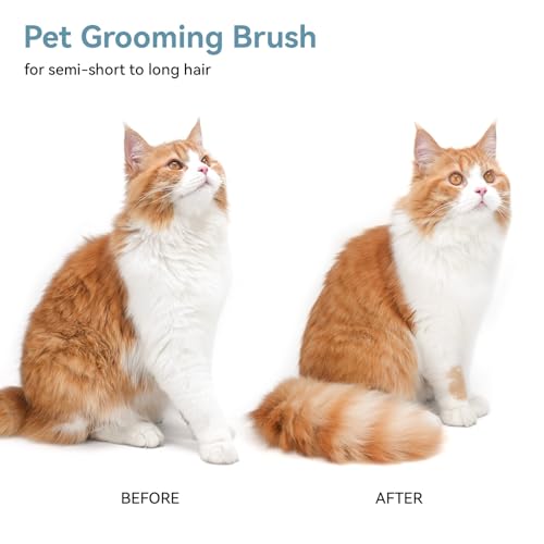 Skin Friendly Self (Green)