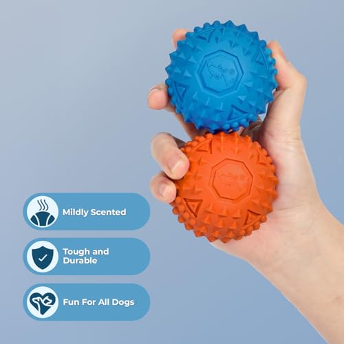 Interactive Squeaky Dog Chew Toy (Spiky Ball (Blue, Orange) / Medium)