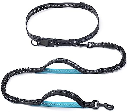 Retractable Hands Free Dog Leash (Black / Small)