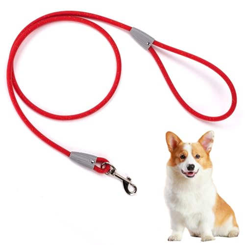 5FT Nylon Waterproof Dog Leash (Red-B)