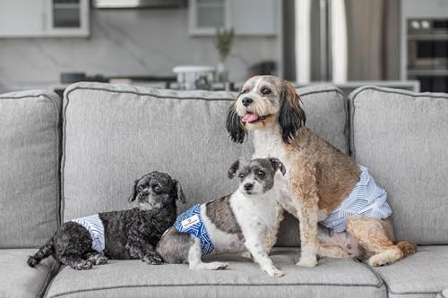 Washable Belly Bands for Male Dogs (X-Small (11-13") / Kahuna)