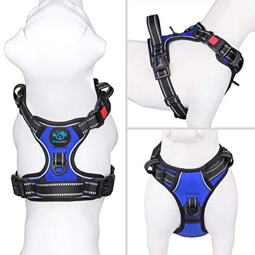No Pull Dog Harness Medium Reflective Front Clip Vest with Handle (Extra Small / Royal Blue)