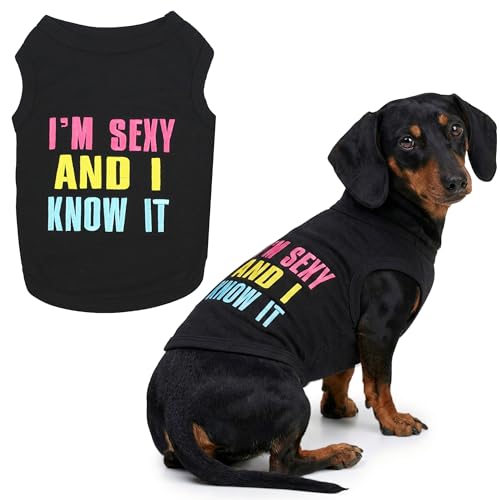 Dog Shirt 100% Cotton I am Sexy Shirts for Large Dogs (Extra Large / Sexy and I Know It)