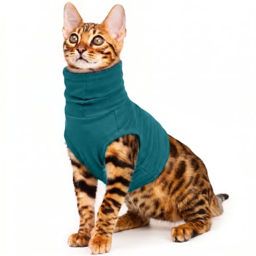 Cat Neck Protector Wound Cover (Turquoise / XS(Chest: 14.2"))