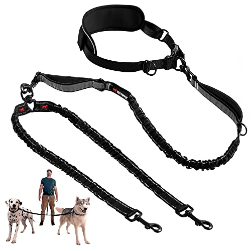Heavy Duty Hands Free Bungee Dog Leash