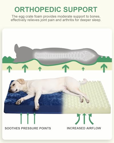 Orthopedic Dog Bed for Large Dogs with Waterproof Lining (Blue / 35.0"L x 22.0"W x 3.0"Th)
