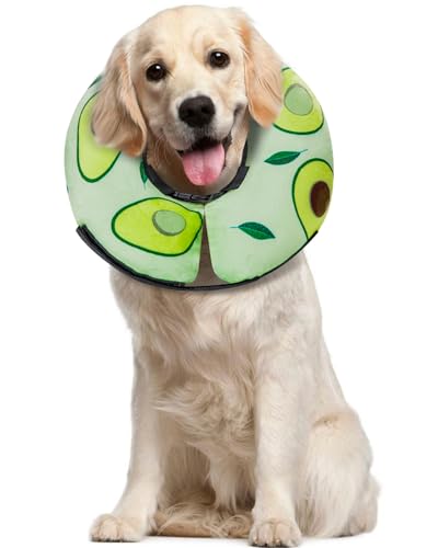 Inflatable Dog Cone (Avocado / L(15"-20"))
