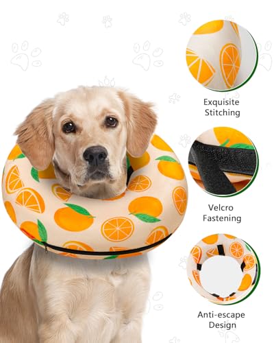 Inflatable Dog Cone (Tangerine / XL(21"-24"))