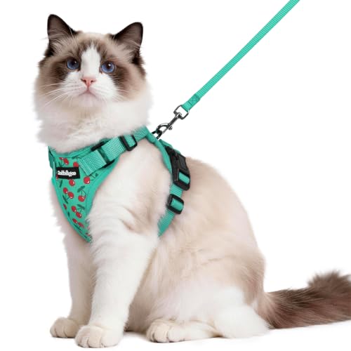 Cat Harness and Leash Set (M / Cherry Grove)