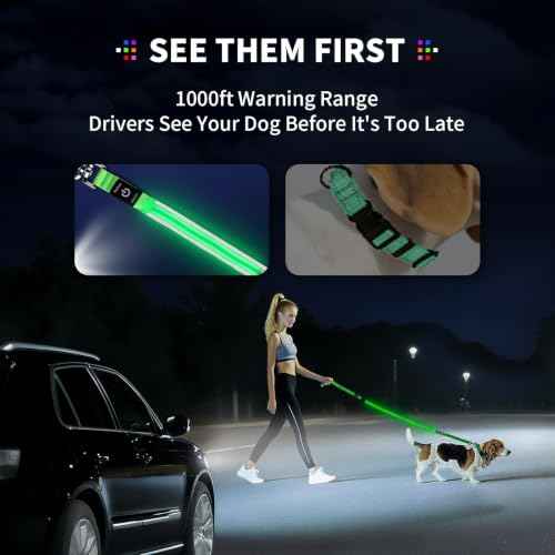 LED Dog Leash (Purple / 6 feet)