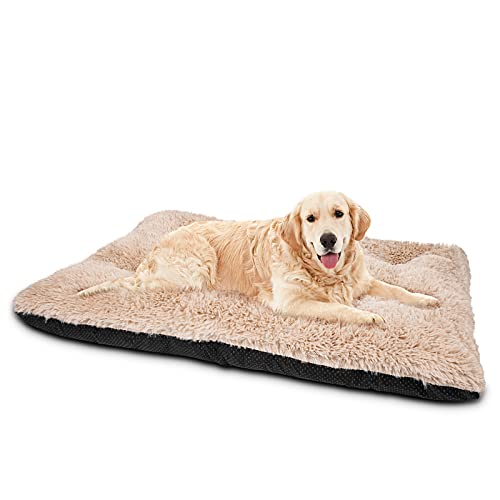 Large Dog Bed Crate Pad (40.0"L x 27.0"W x 4.0"Th / Beige)