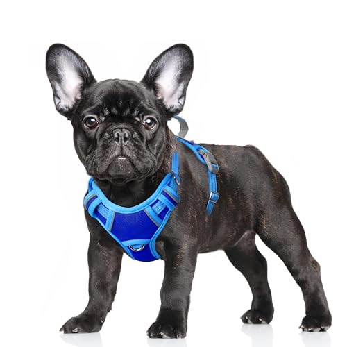 Dog Harness for Small Sized Dog No Pull Dog Vest ID Tag Pocket (Sapphire Blue & Blue / Small)