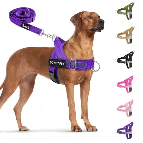 No Pull Dog Harness and Leash Set (Purple / Medium)