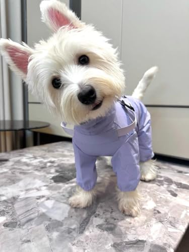 Waterproof Dog Raincoat (M Back Length 14.6" / Purple)