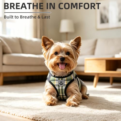 Dog Harness Collar and Leash Set No Pull for Small Medium Sized (Yellow Green / L (CHEST 18"-20"))