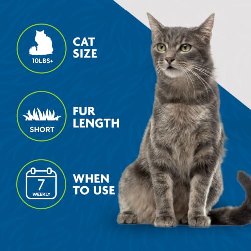 Medium to Large Cat deShedding Tool for Short Hair (Large / short hair)