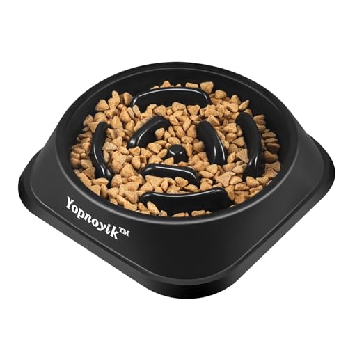Slow Feeder Dog Bowls for Medium Dogs & Cats (Medium / Black)