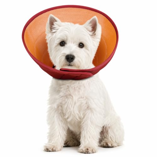Soft Dog Cone Collar to Stop Licking After Surgery (Orange / S)