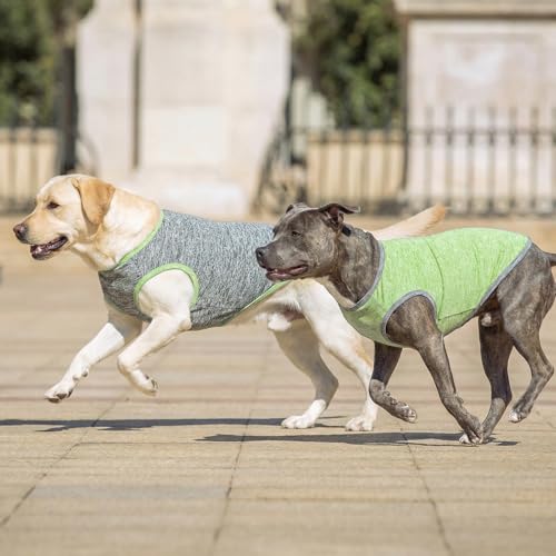 2Pack Dog Shirt for Large Dogs Sun Protection Tank Top for Summer (XXX-Large (55-75lbs) / 5# 2Pack (Green+Grey))