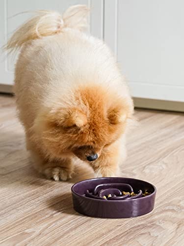 Ceramic Slow Feeder Dog Bowls Small Breed (Maze Purple / S-0.6 Cups)