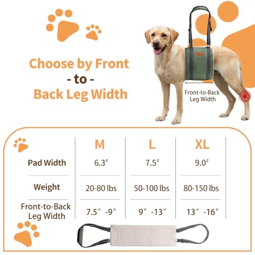 Dog Lift Harness for Large Dogs (X-Large (Pack of 1) / Army green)