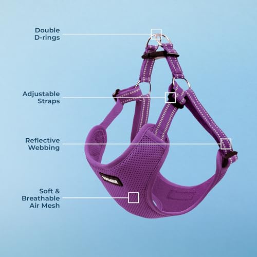 Voyager Step in Flex Adjustable Dog Harness (Harness (Purple) / XL)