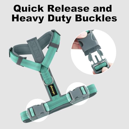 No Pull Dog Harness (S / Teal)
