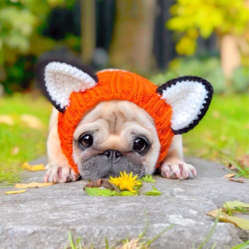 Fox Costume Knit Dog Snood Ear Wrap for Pets (Medium)