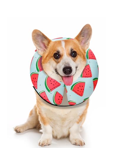 Inflatable Dog Cone (‌Melon / S(9"-10"))