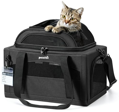 Top Expandable Airline Approved Pet Carrier for Cats (Dark Gray)