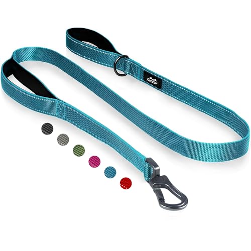 4FT 1IN Heavy Duty Dog Leash for Large Dogs with 2 Padded Handles (Blue / 1 in x 4 ft)
