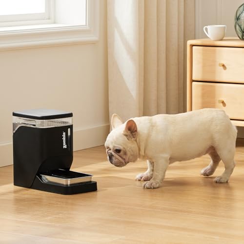 1.6 Gallon Automatic Dog Water Dispenser with Stainless Steel Bowl (Black / 6L)