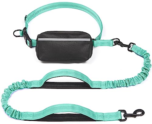 Hands Free Dog Leash with Zipper Pouch (Teal / Large)