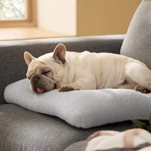Washable Dog Bed Medium Size Dog (29"L x 21"W x 3"Th (M) / Gray)