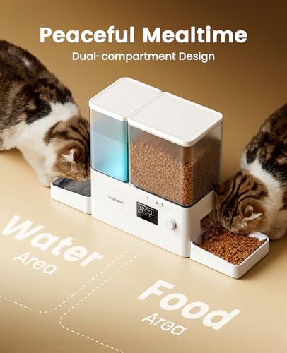 Automatic Cat Feeder and Water Dispenser