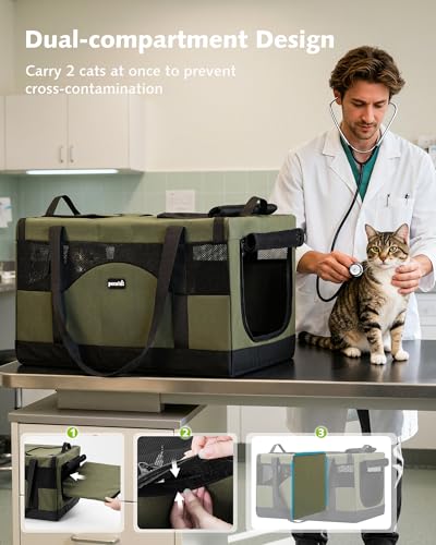 Large Cat Carrier (Green)