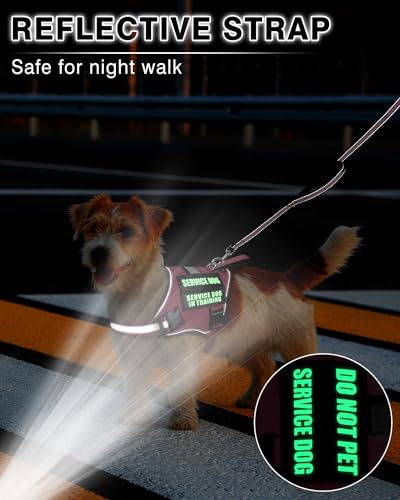 Small Service Dog Vest Harness and Leash Set+10 Patches Pink XS (Extra-Small / Pink)