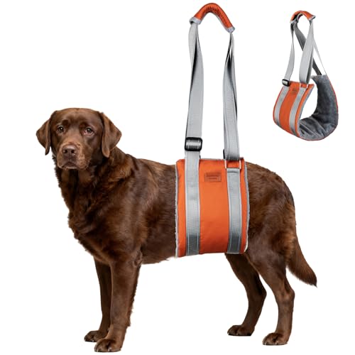 Dog Lift Harness (XL / Brown)