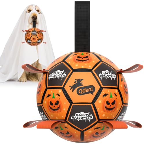 Halloween Dog Toys (Halloween / 6 Inch)