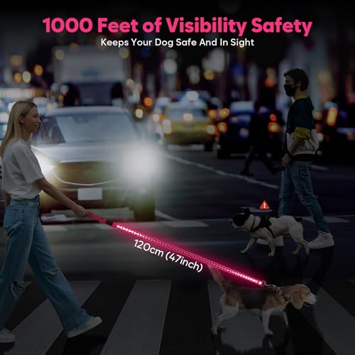 Light Up Dog Leash (Pink)