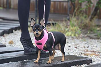 Soft Dog Harness No Choke Over (Pink / X-Small)