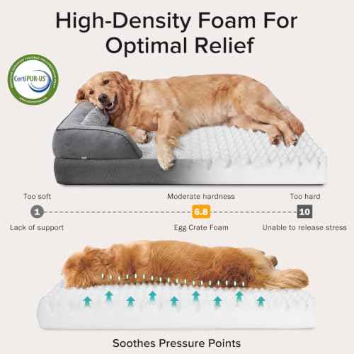 Jumbo Orthopedic Dog Bed for Extra Large Dogs (XL-PLUS (45"x 32"x 7.5") / Grey)