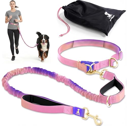 Hands Free Dog Leash (Gradient Pink / 1 dog M/L)